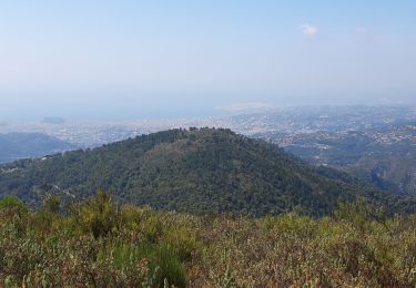 Excursión Bici de montaña Contes - mont macaron - Photo