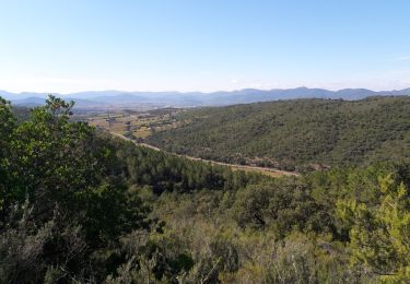 Percorso Marcia Pierrefeu-du-Var - la portaniere - Photo