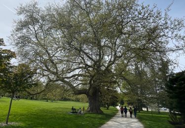 Tour Wandern Bussy-Saint-Georges - Randonnée parc de Renty - Photo