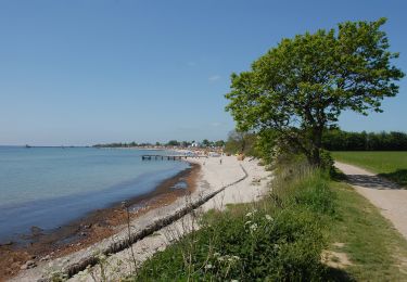 Tocht Te voet Kellenhusen - Moor-Route, Kellenhusen - Photo