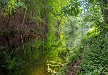 Percorso A piedi Visé - 2.Eijsden/3.Kanne/4.Ternaaien: Rode Driehoek - Photo