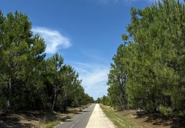 Tocht Hybride fiets Vendays-Montalivet - Montalivet - Talais - St Vivien - Vensac- Montalivet - Photo