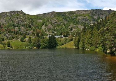 Trail Walking Soultzeren - Lac des Truites - Sentier du Neunlist  - Photo
