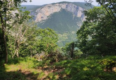 Tour Wandern Châtelus - brèche moulin marquis pas de la charmate  - Photo