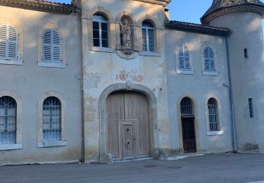 Tour Wandern Méounes-lès-Montrieux - Montrieux de Martine - Photo