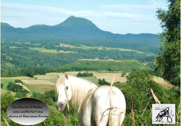 Trail Horseback riding Saint-Jacques-d'Ambur - SAINT JACQUES / LE ROCHER DU SOLDAT 32 KMS - Photo