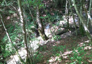 Tour Wandern Châtillon-en-Diois - 26 grotte pellebit en traversee zel - Photo