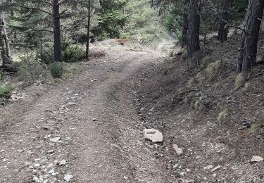Trail Walking Jujols - jujols marbre rouge  - Photo