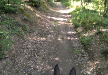 Trail Horseback riding Rochefort - boucle départ navaugle  - Photo