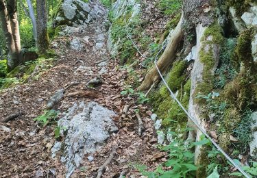 Trail Walking Fillière - 12-06-2022 Col de l'Enclave  - Photo