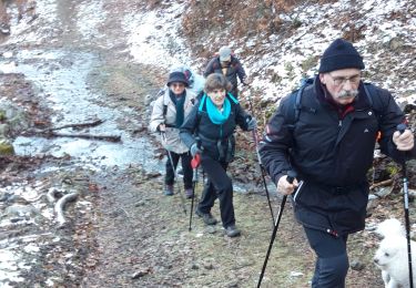 Trail Walking Kruth - 2020-02-05 Kruth Strasshisla - Photo