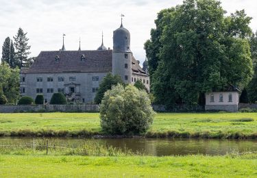 Tour Zu Fuß Hehlen - HE2 Wanderung Sievershagener Tal und Övelgönner Hochplateau - Photo