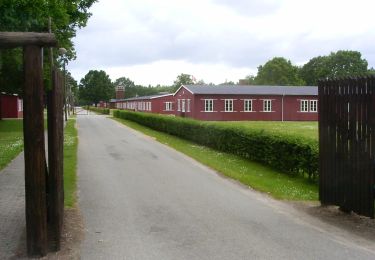 Tour Zu Fuß  - Frøslev Plantage - gul rute - Photo