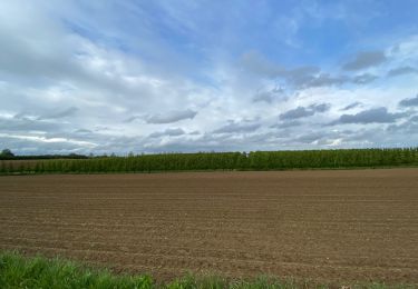 Randonnée Marche Kortessem - 4km Zammelen  - Photo