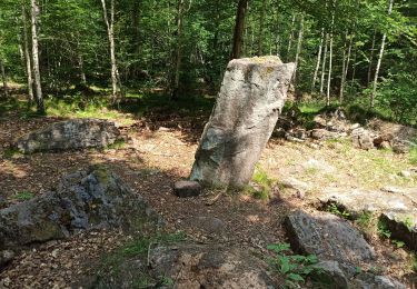 Excursión Bici de montaña Raon-l'Étape - Raon L’Etape - Pierre d’Appel 2020 1 - Photo