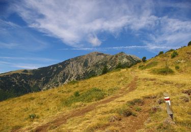 Randonnée A pied Valmanya - Tour del Canigó - Photo