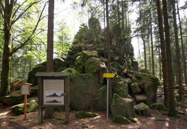 Excursión A pie Sankt Oswald bei Freistadt - Panoramaweg - Mitterbach - Photo