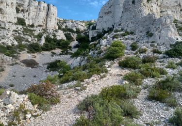 Tocht Stappen Marseille - Callelongue - Corniche Salis - Pas de Gracia - Grotte Roland  - Photo