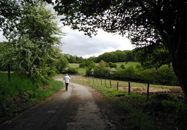 Tocht Stappen Seraing - boncelles beauregard - Photo