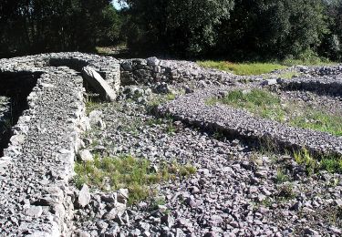 Tocht Te voet Viols-le-Fort - Circuit des dolmens de Viols-le-Fort à Cantagrils - Photo