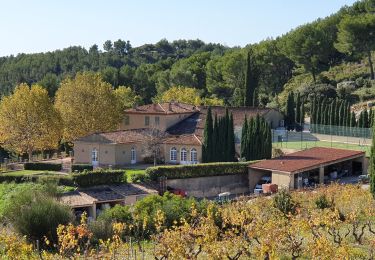 Trail Walking La Cadière-d'Azur - boucle plan du castellet novembre 2019 - Photo