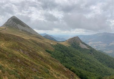 Tour Wandern Laveissière - Font de cere puy griou  - Photo
