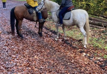 Tour Reiten Neuviller-lès-Badonviller - Ar direction angomont  - Photo