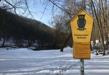 Tocht Te voet Onbekend - Jena-Fürstenbrunnen-Wogau - Photo