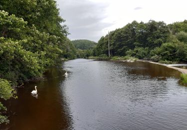 Tour Wandern Stablo - rando de la truite : stavelot . challes . warche . chevaufosse . challes . stavelot - Photo