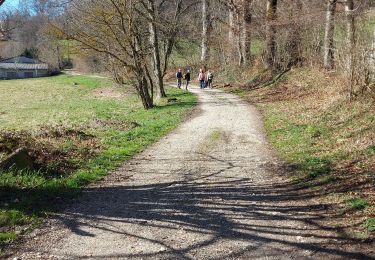 Trail Walking Laffrey - Lafrey - Photo