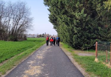 Trail Walking Yerres - Boucle Yerres - Villecresnes - Mandres - brunoy  - Photo