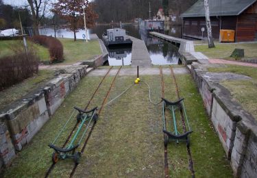 Tour Zu Fuß Königs Wusterhausen - 1. Permanenter DVV-Wanderweg Königs Wusterhausen - Photo