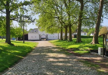 Tour Wandern Court-Saint-Étienne - Bois³ de l'Abbaye - Photo