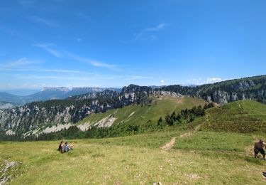 Tour Wandern Saint-Pierre-de-Chartreuse - Petit Som - Photo