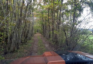 Trail 4x4 Toulon-sur-Arroux - 4x4 Toulon Sur Arroux / Anost  - Photo