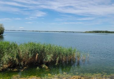 Trail Walking Sainte-Marie-du-Lac-Nuisement - Le Der du 25/07/2024 - Photo