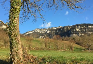 Randonnée Marche La Sure en Chartreuse - Au départ du col de la placette - Photo