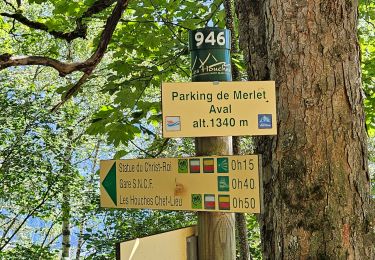 Percorso Marcia Les Houches - J14 - R13 - La statue du Christ Roi - Photo