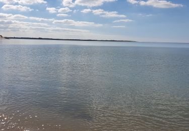 Trail Walking Berck - Berck - baie d'Authie - Photo