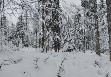 Randonnée Raquettes à neige Châtelblanc - parc polaire petite boucle - Photo