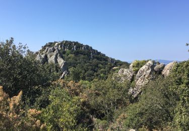 Trail Walking Hyères - Fête de la randonnée Hyères (circuit 2 -Variante) - Photo