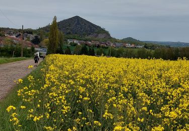 Trail Walking Châtelet - Marche éphémères Ecureuil - Photo