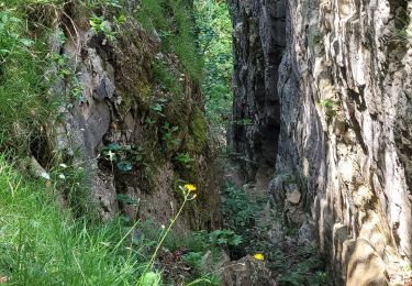 Trail Walking Les Planches-en-Montagne - la languette  - Photo