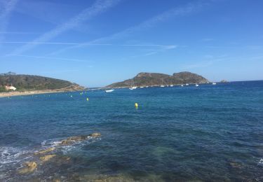 Tocht Stappen Ramatuelle - L’escalet, Cap Taillat, Cap Lardier - Photo