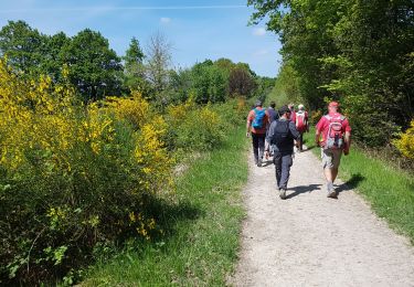Trail Walking Rambouillet - 2022-05-01_EtangCoupeGorge_MaresDeVilpert - Photo