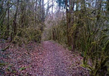 Trail Walking Avanne-Aveney - Aveney Beure Larnod - Photo