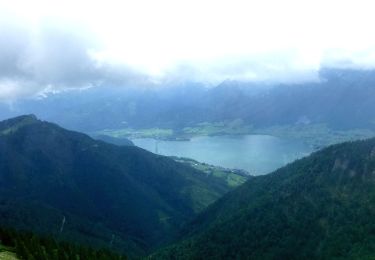 Randonnée A pied St. Wolfgang im Salzkammergut - Auerriesenweg - Photo