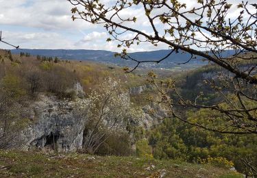 Randonnée Marche Plateau d'Hauteville - Nanti La Berche - Photo