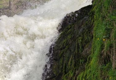 Tour Wandern Dreibrücken - A la découverte de Trois-Ponts  - Photo