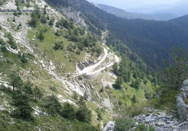 Percorso A piedi Pigna - Sentiero degli Alpini - Photo